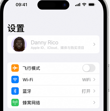 尖峰镇appleID维修服务iPhone设置中Apple ID显示为灰色无法使用 