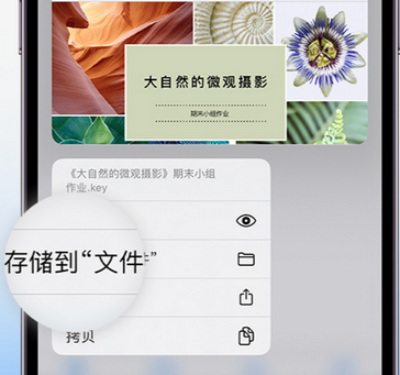 尖峰镇apple维修中心分享iPhone文件应用中存储和找到下载文件