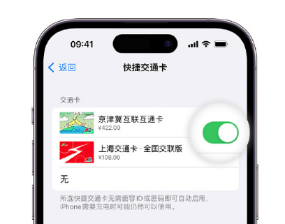 尖峰镇apple维修点分享iPhone上更换Apple Pay快捷交通卡手绘卡面 