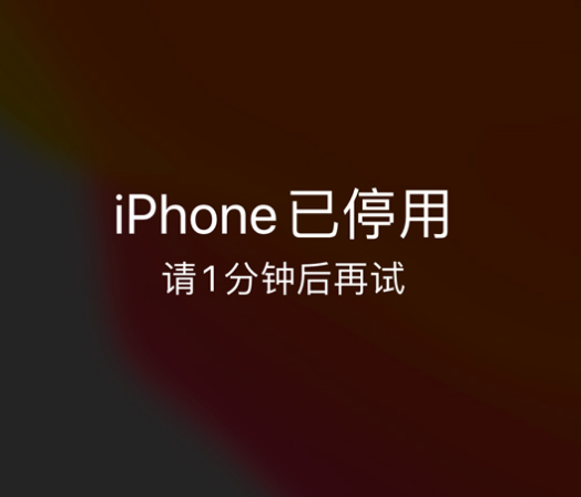 尖峰镇苹果手机维修分享:iPhone 显示“不可用”或“已停用”怎么办？还能保留数据吗？ 