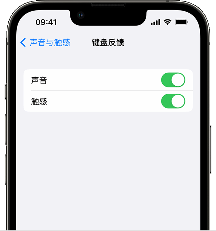 尖峰镇苹果14维修店分享如何在 iPhone 14 机型中使用触感键盘 