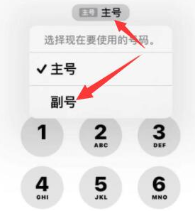 尖峰镇苹果14维修店分享iPhone 14 Pro Max使用副卡打电话的方法 