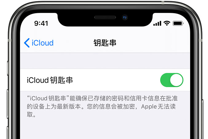 尖峰镇苹果手机维修分享在 iPhone 上开启 iCloud 钥匙串之后会储存哪些信息 